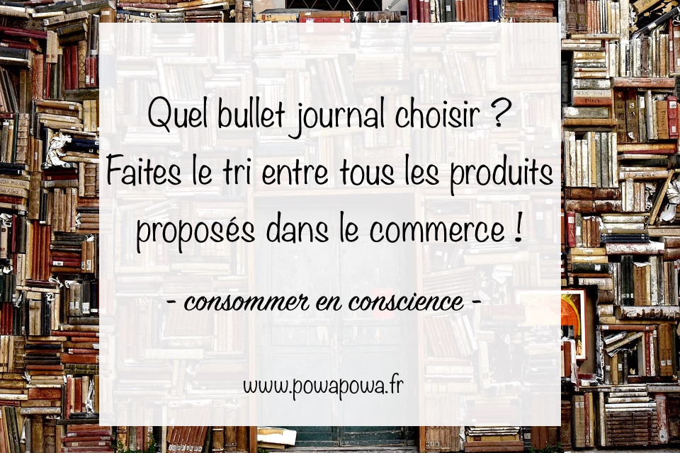 Quel bullet journal prêt à l'emploi choisir ? - Ma Cohérence