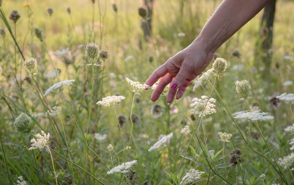10 idées d&rsquo;activités gratuites pour un dimanche réussi