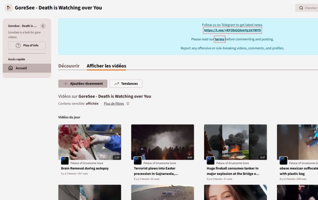 Goresee et sites de choc : pourquoi notre cerveau est attiré ?